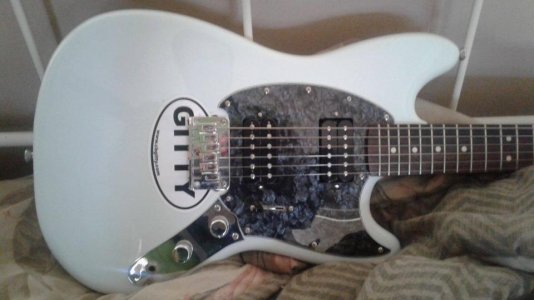 Mustang1.jpg Mustang1.jpg