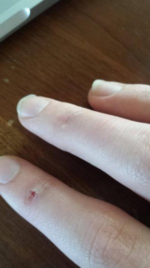 16735360_1800031270259226_718386773_o.jpg 16735360_1800031270259226_718386773_o.jpg