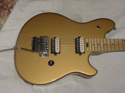 Peavey wolfgang special.jpg
