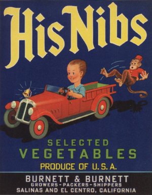 HisNibs_zpsctolrwdo.jpg HisNibs_zpsctolrwdo.jpg