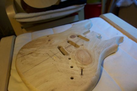 Guitar Pic #2.jpg