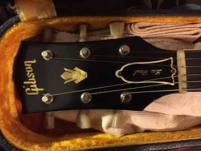 LPhead.jpg LPhead.jpg