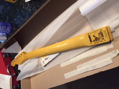 image5 (5).JPG image5 (5).JPG