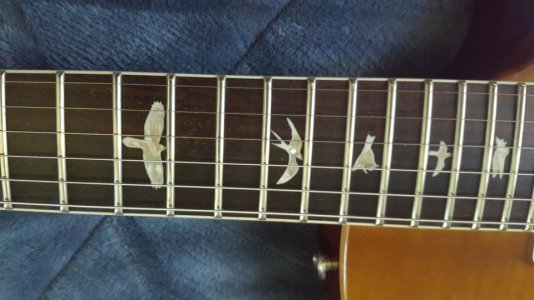 20170622_111432.jpg