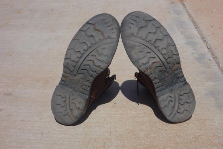soles.jpg soles.jpg