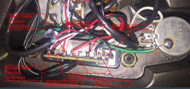 Detailed  Cables.jpg