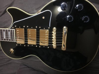 black beauty 1.jpg black beauty 1.jpg