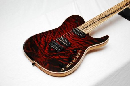 BWG Tele Body.jpg BWG Tele Body.jpg