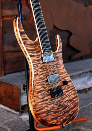 BWG Fretboard and Binding.jpg BWG Fretboard and Binding.jpg