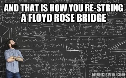 restringFloydRose.jpg restringFloydRose.jpg