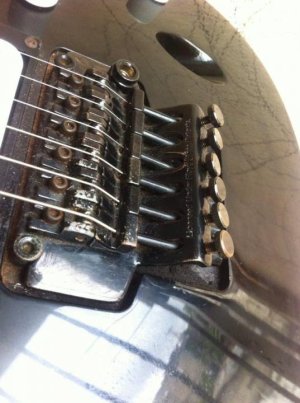 21039958_10154681504776960_1252339042_n.jpg 21039958_10154681504776960_1252339042_n.jpg