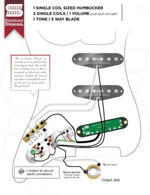 1SCH_2S_5W_1VppSPL_1T[1].jpg