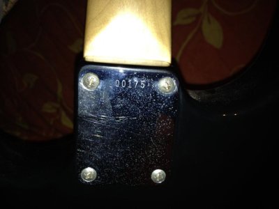 squier US Np.jpg
