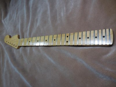 DSCN4716.jpg