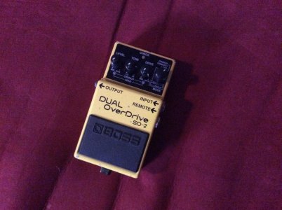 IMG_0390.jpg IMG_0390.jpg