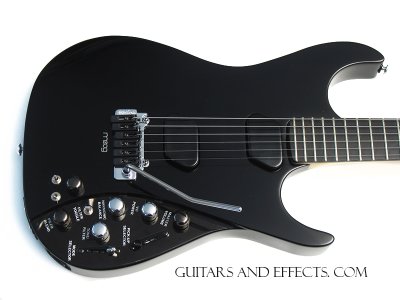moogguitar3.jpg