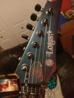 IMAG0103.jpg
