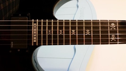kh 602 lower neck w kh 602 fret marker.jpg