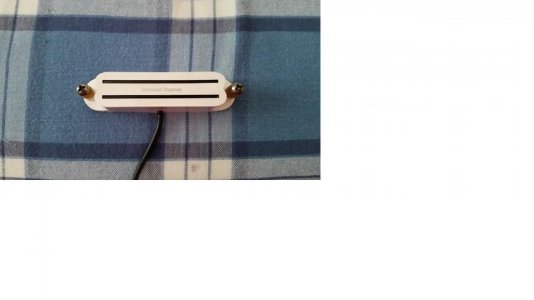 shr 1n front resized 60%.jpg