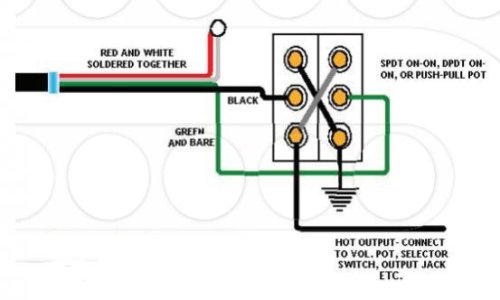 4c hb reverse phase.jpg