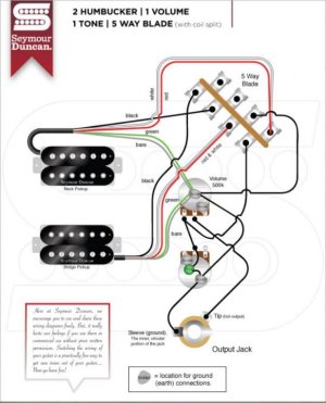2 Humbuckers, One Volume, One Tone, 5-Way Blade Switch.jpg