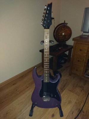 DSC_1256.jpg