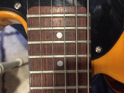 IMG_3165.jpg IMG_3165.jpg