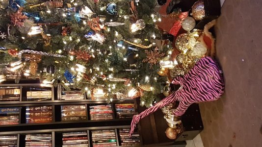 20171219_154457.jpg