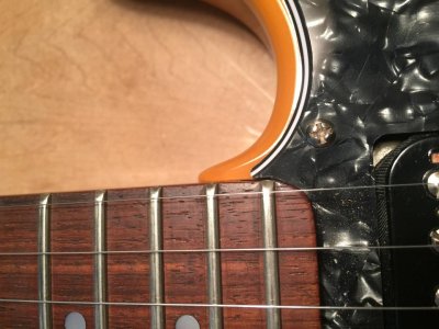 image1.jpg image1.jpg