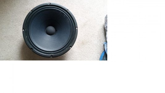 Celestion A-type cone 1 65%.jpg
