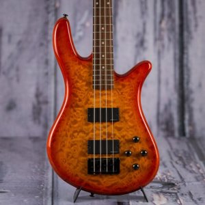 Spector Q4 Pro 01.jpg