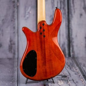 Spector Q4 Pro 02.jpg