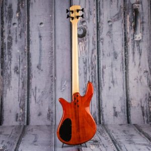 Spector Q4 Pro 04.jpg