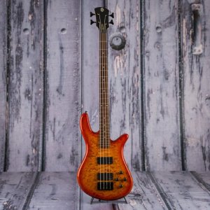 Spector Q4 Pro 03.jpg