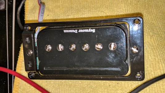 00000PORTRAIT_00000_BURST20180107161541386.jpg 00000PORTRAIT_00000_BURST20180107161541386.jpg