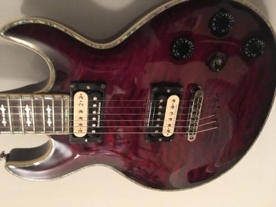 7F1BD887-517A-4C22-A717-413DD46603F7.jpg 7F1BD887-517A-4C22-A717-413DD46603F7.jpg