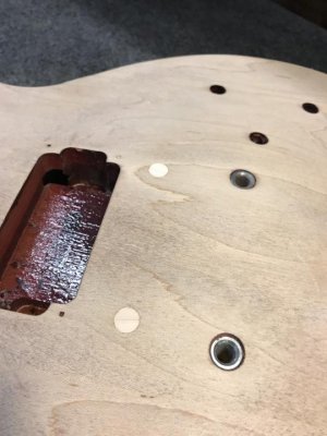 IMG_3103.jpg IMG_3103.jpg