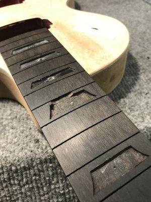 IMG_3242.jpg IMG_3242.jpg