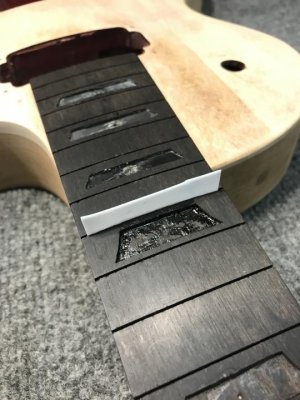 IMG_3244.jpg IMG_3244.jpg