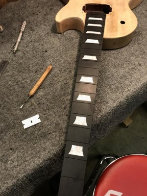 IMG_3246.jpg IMG_3246.jpg