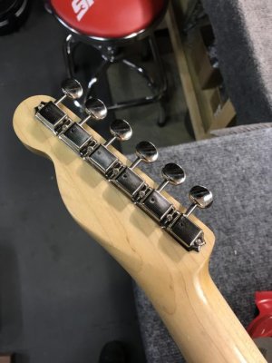 IMG_3508.jpg IMG_3508.jpg