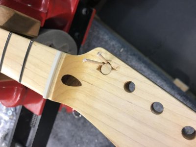 IMG_3485.jpg IMG_3485.jpg