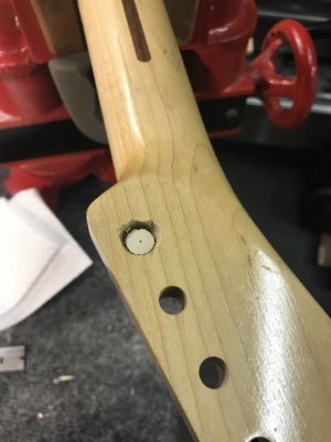 IMG_3488.jpg IMG_3488.jpg