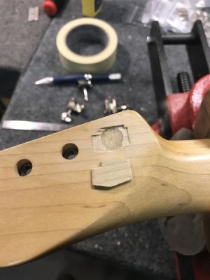 IMG_3499.jpg IMG_3499.jpg