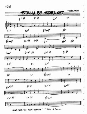 STELLA BY STARLIGHT-408.jpg STELLA BY STARLIGHT-408.jpg