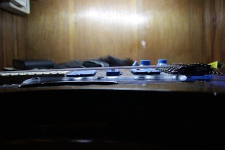 IMG_3951.jpg