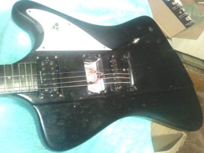 my firebird copy body phase 1 nk pup.jpg my firebird copy body phase 1 nk pup.jpg