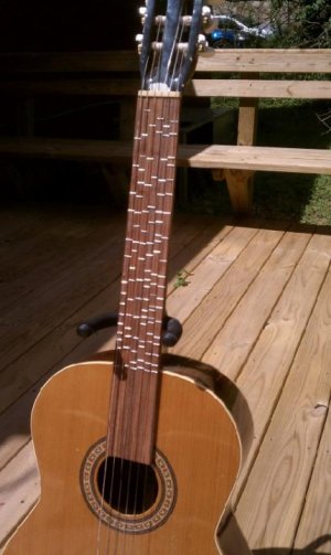 microtonal_guitar2.jpg microtonal_guitar2.jpg