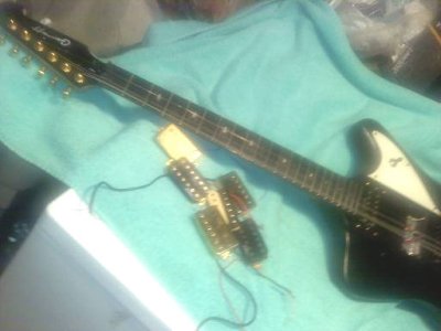 firebird copy body phase 1 pup options (1).jpg firebird copy body phase 1 pup options (1).jpg