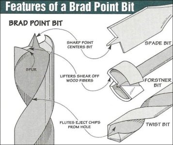 Features+of+a+brad+point+bit.jpg